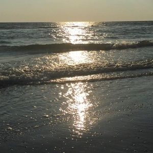 Meet your Posher, Marlene